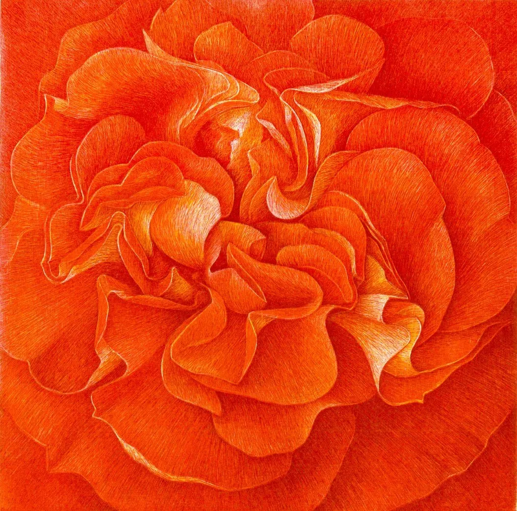 „Donum Dei“ (Rose Gebrüder Grimm) 2005