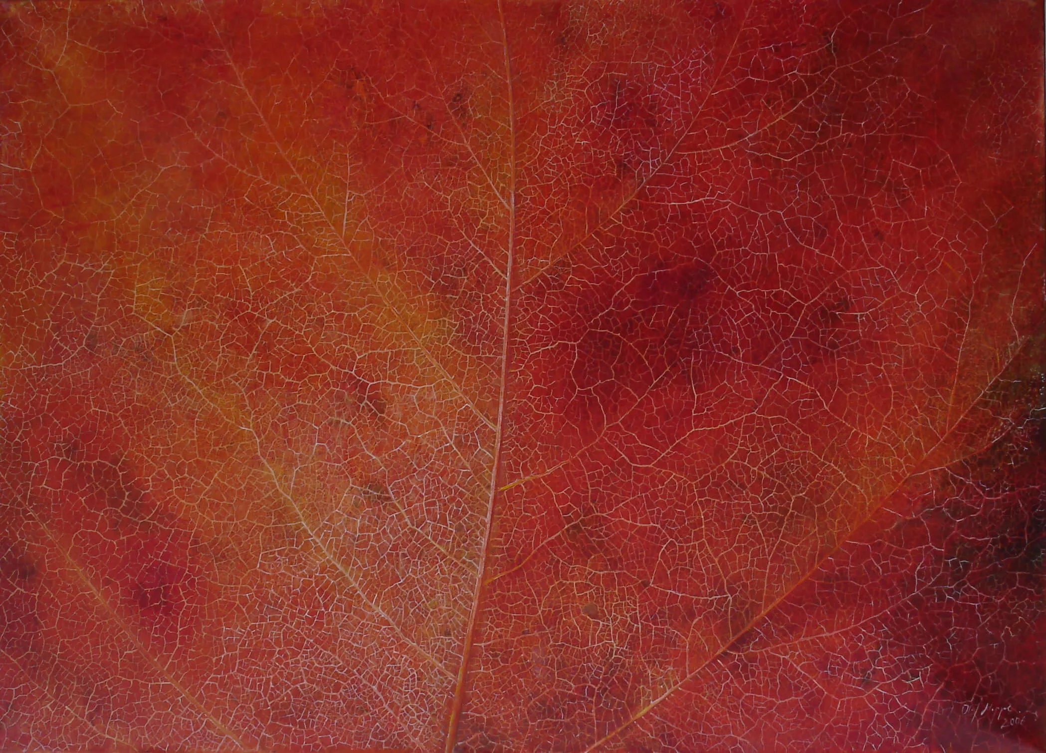„Deuteronmium“ 2005