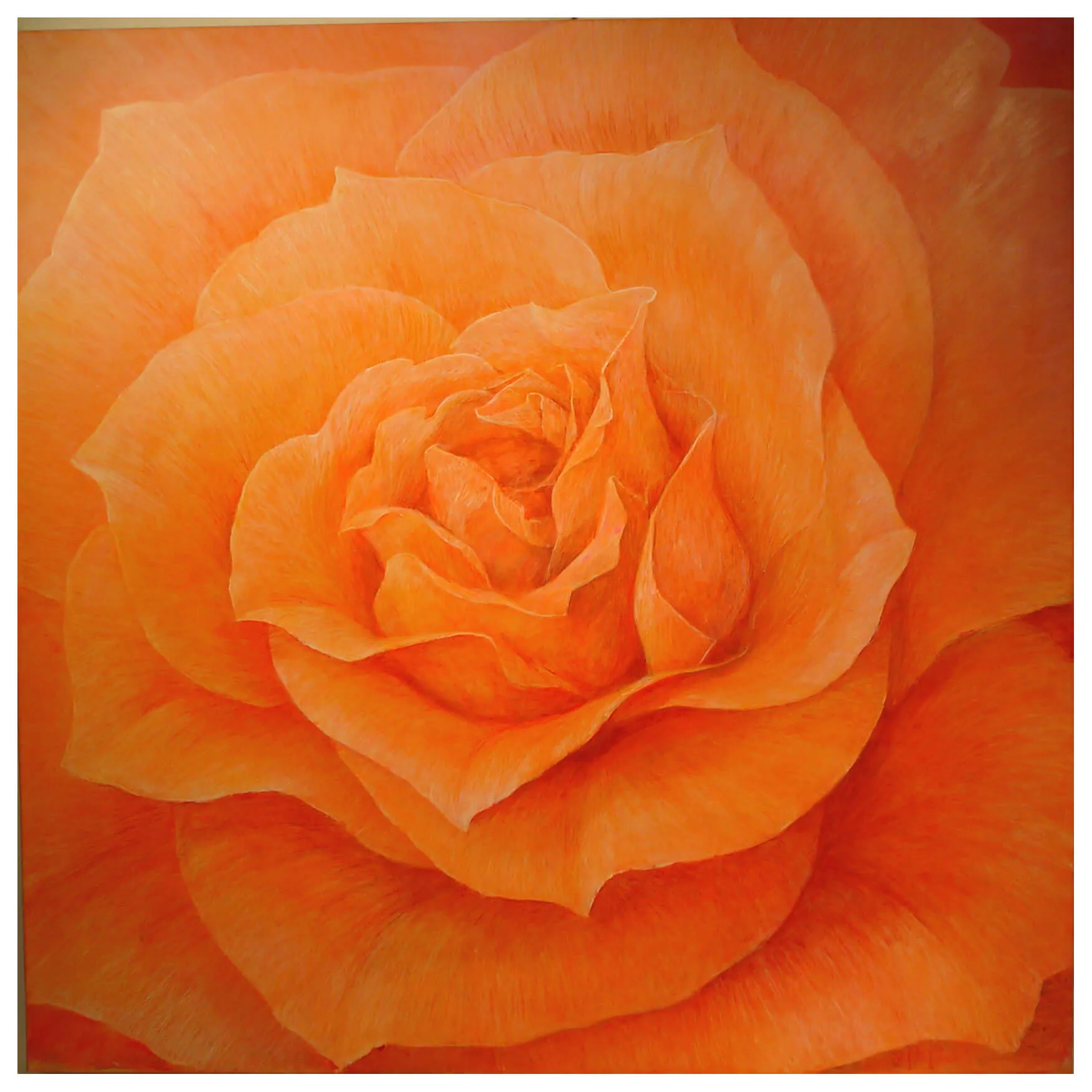 „Rose-Fellowship“ 2005