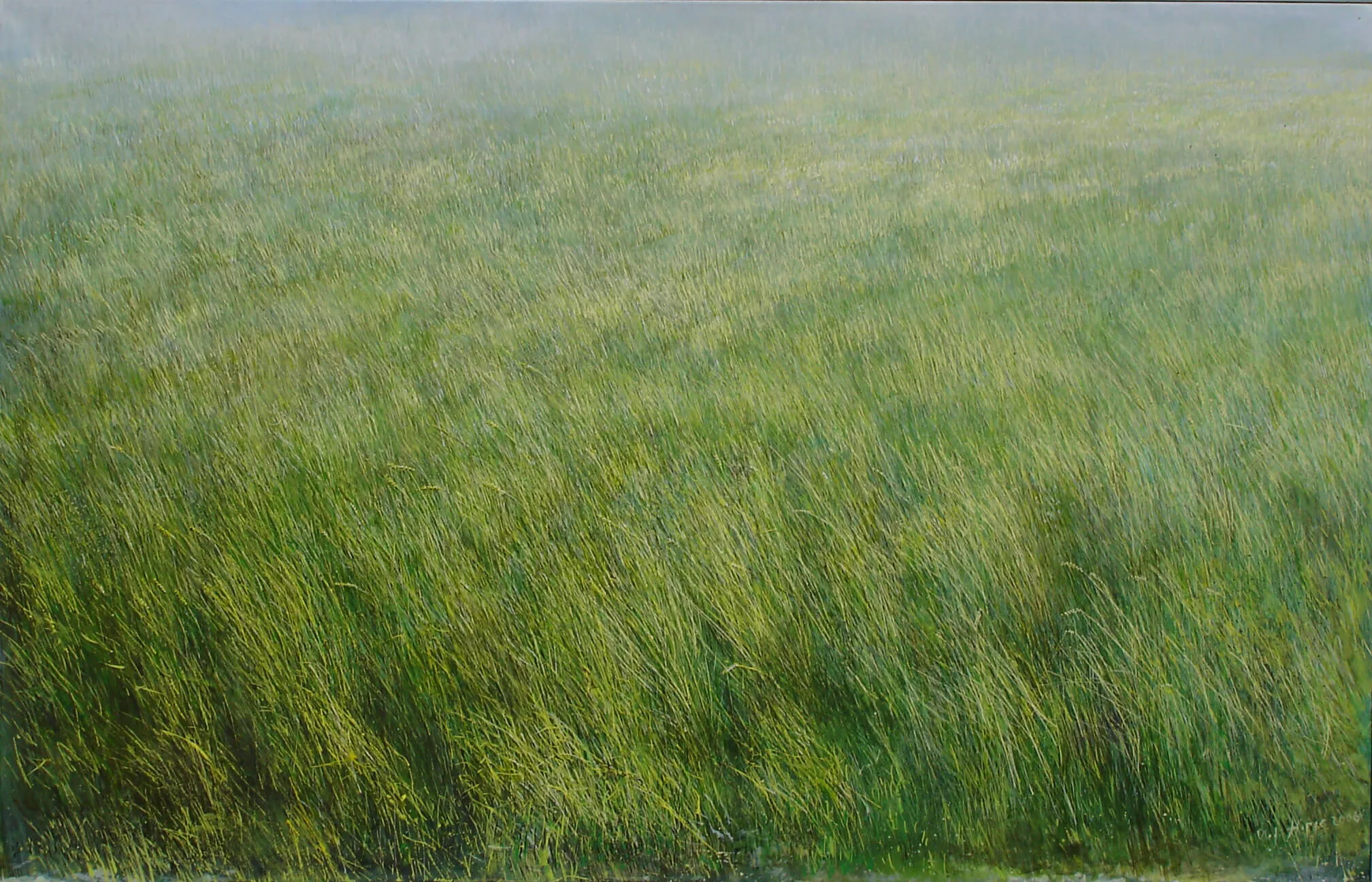 „Land am Morgen“ 2006