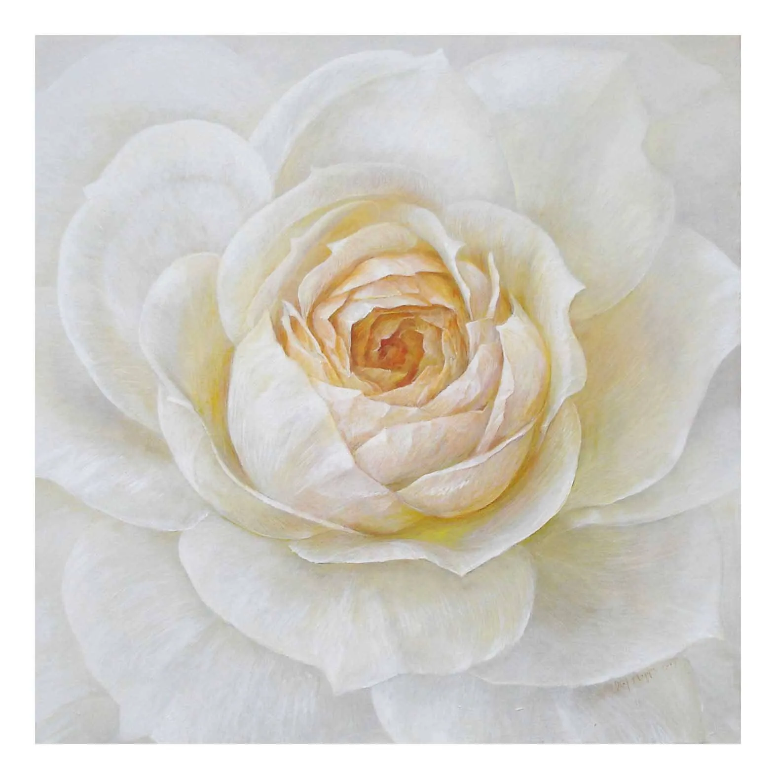 „Lions-Rose 3“
