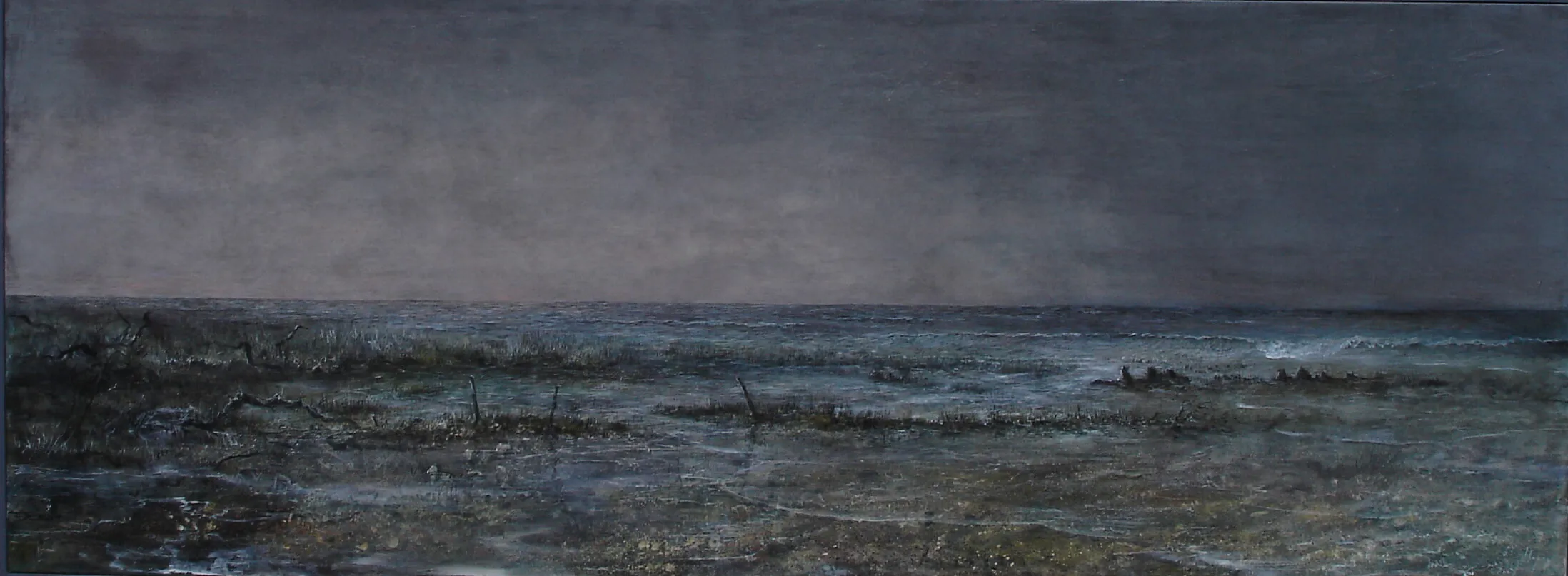 „Salzwiese-Nordlicht“2010