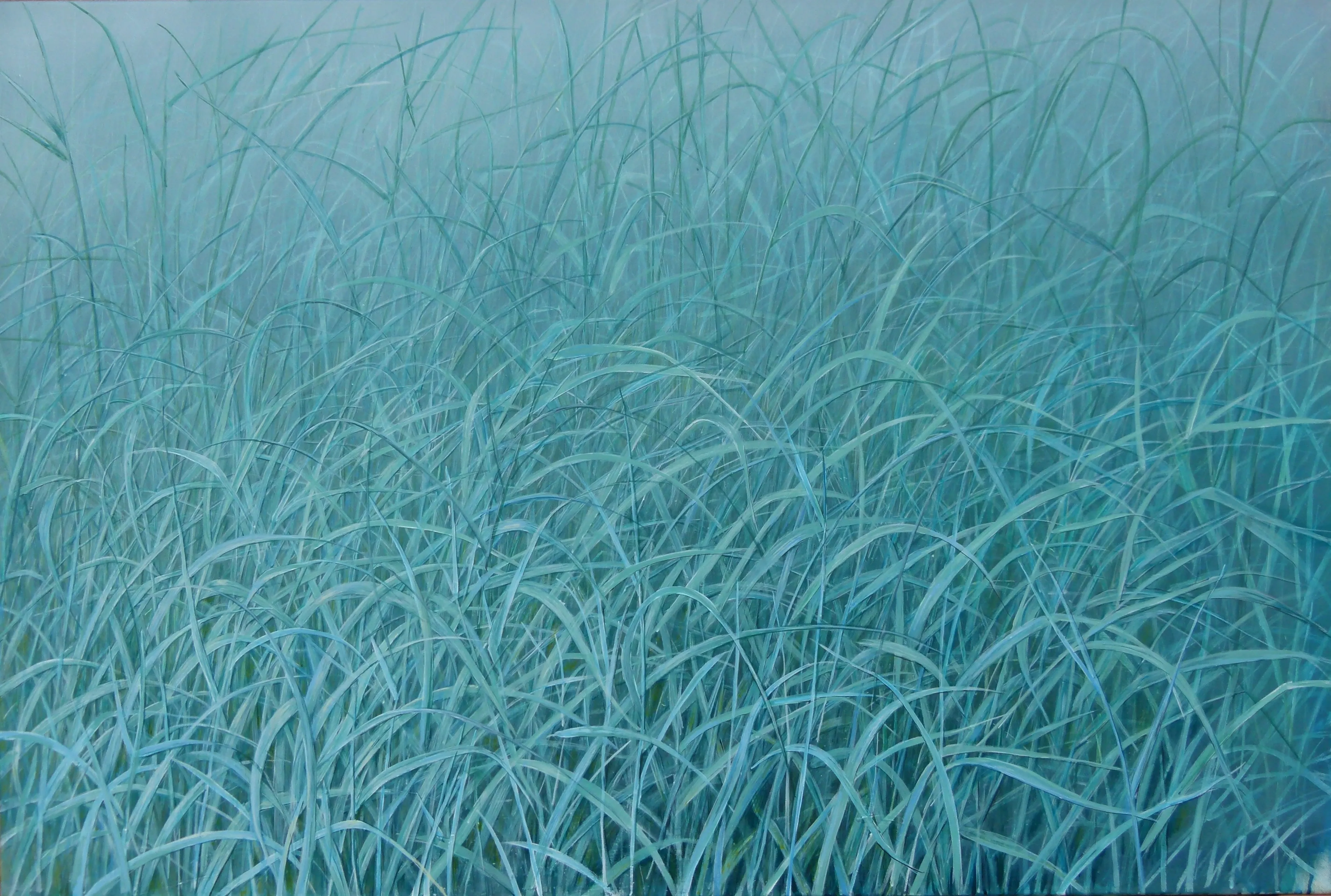 „Seegras“ 2013