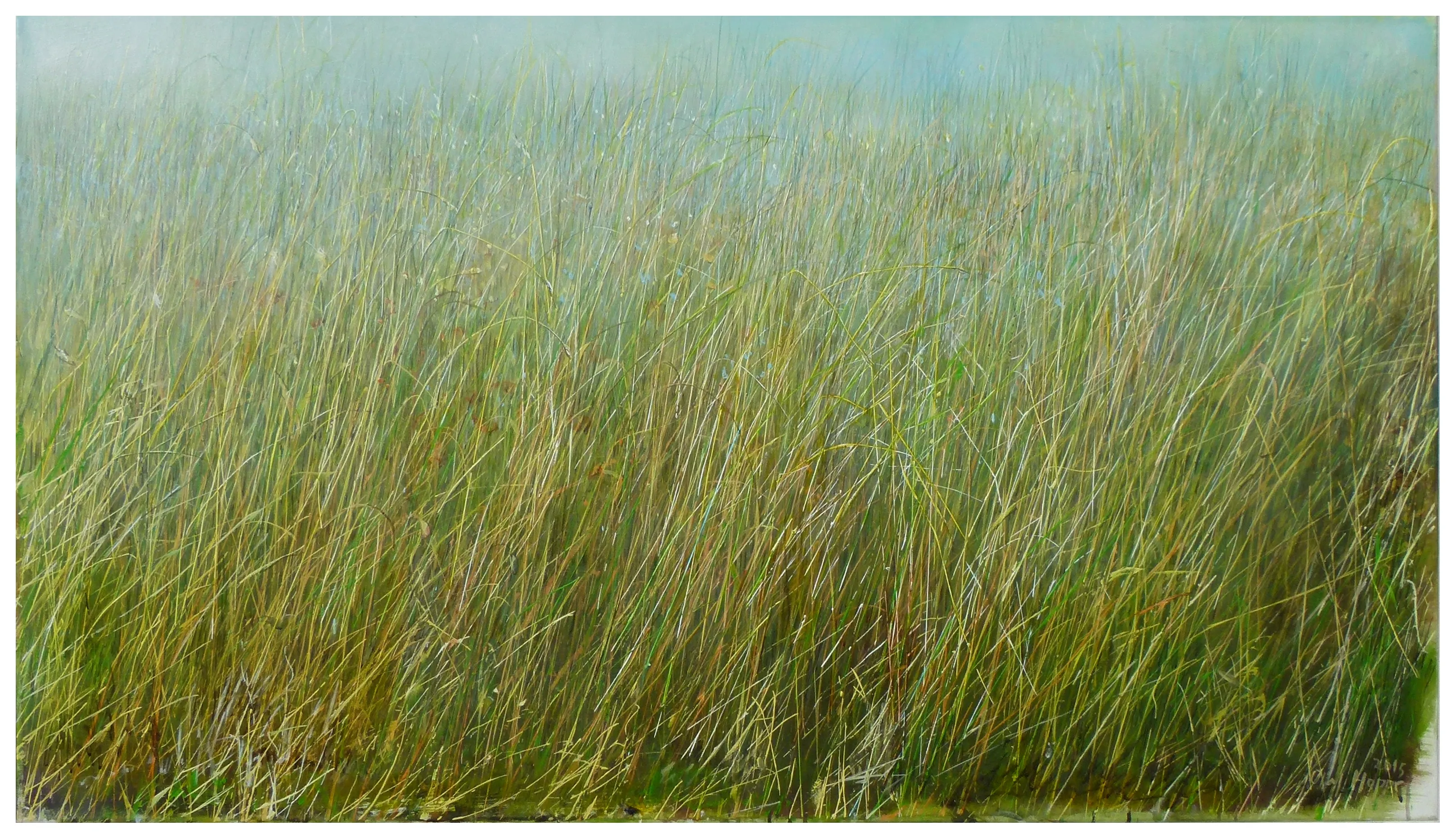„Grasland“ 2015