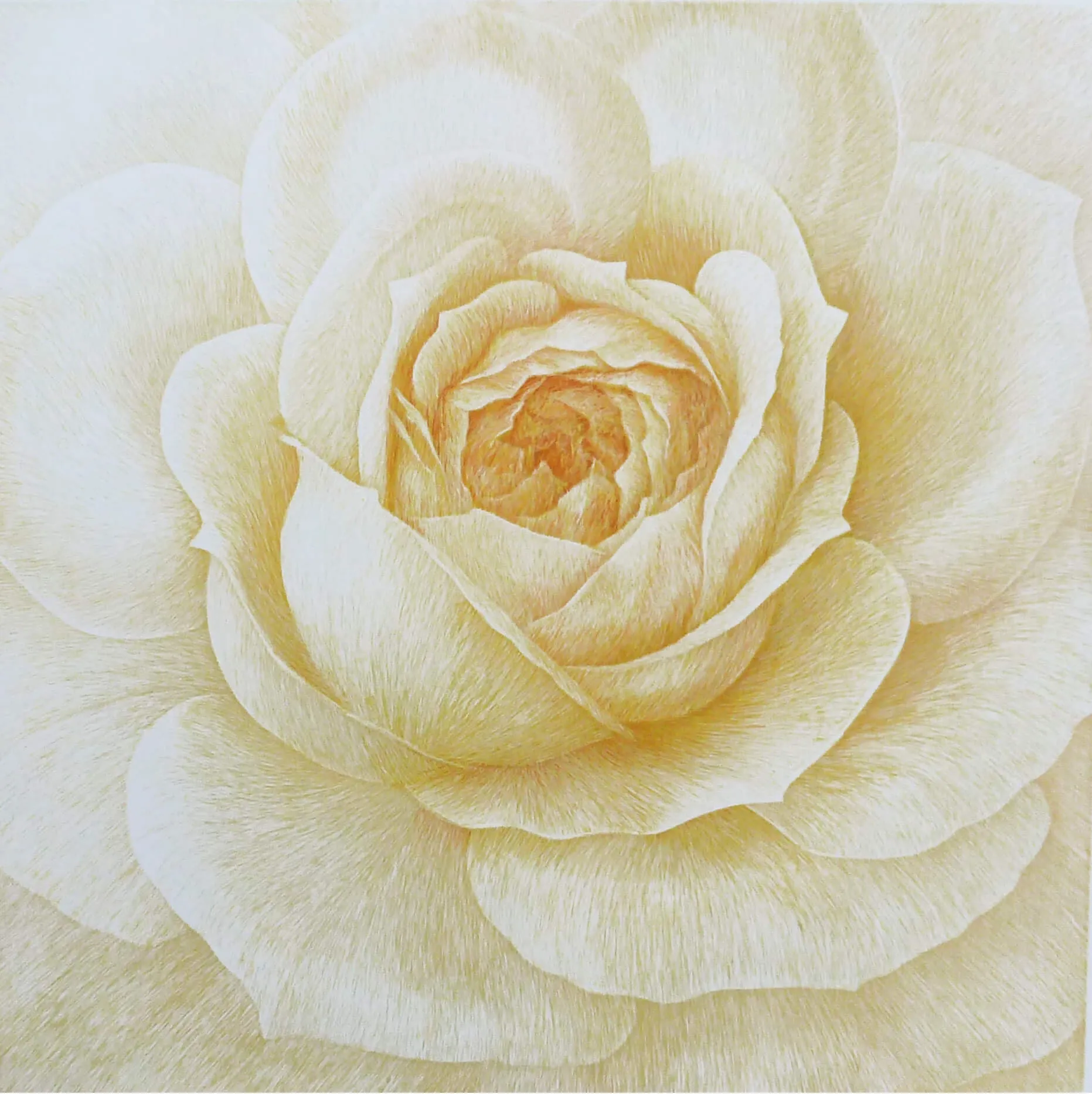 „Donum Dei“ (Lions-Rose) 2004