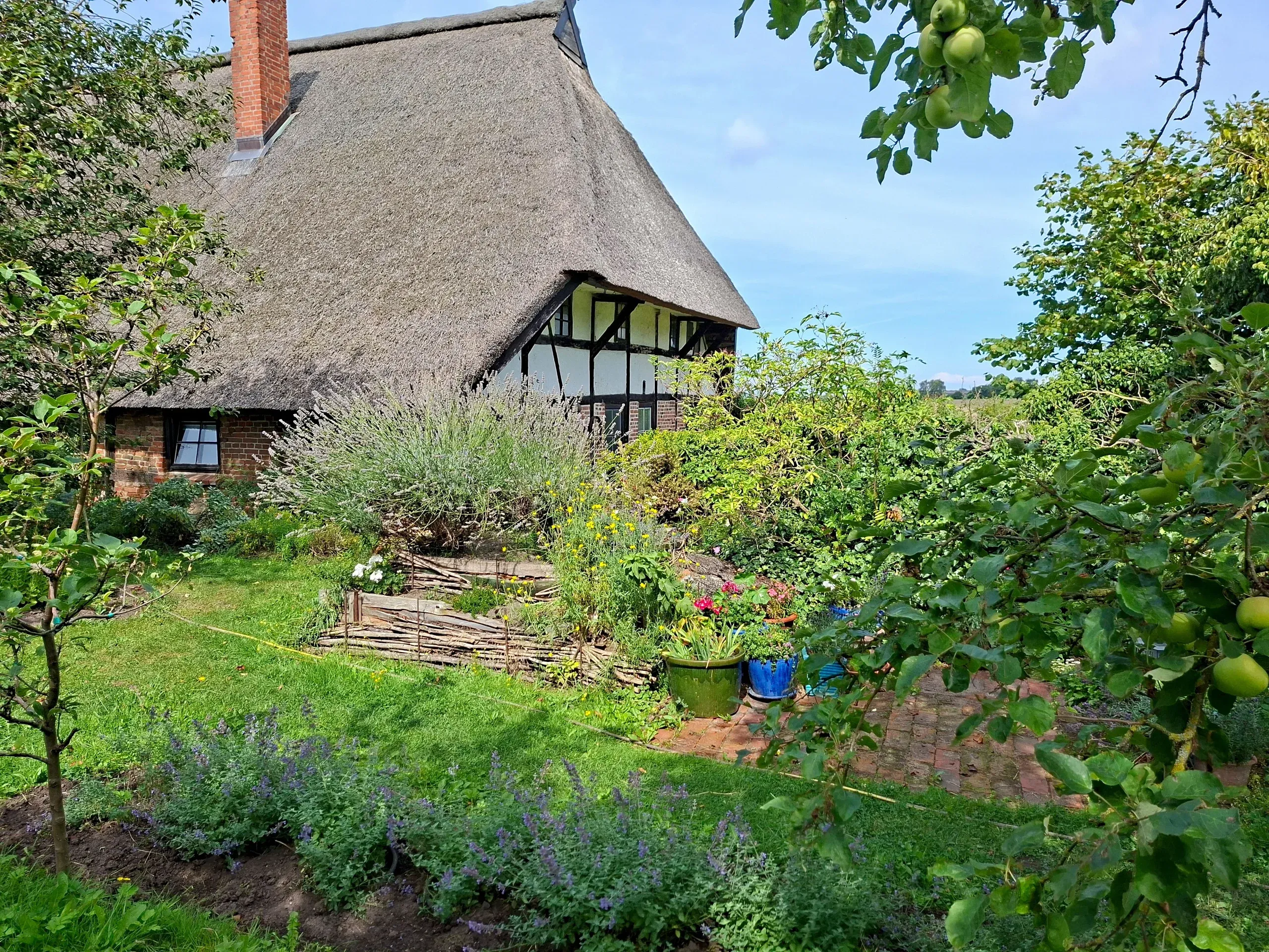 Bauerngarten mit blühenden Beeten vor dem reetgedeckten Fachwerkhaus