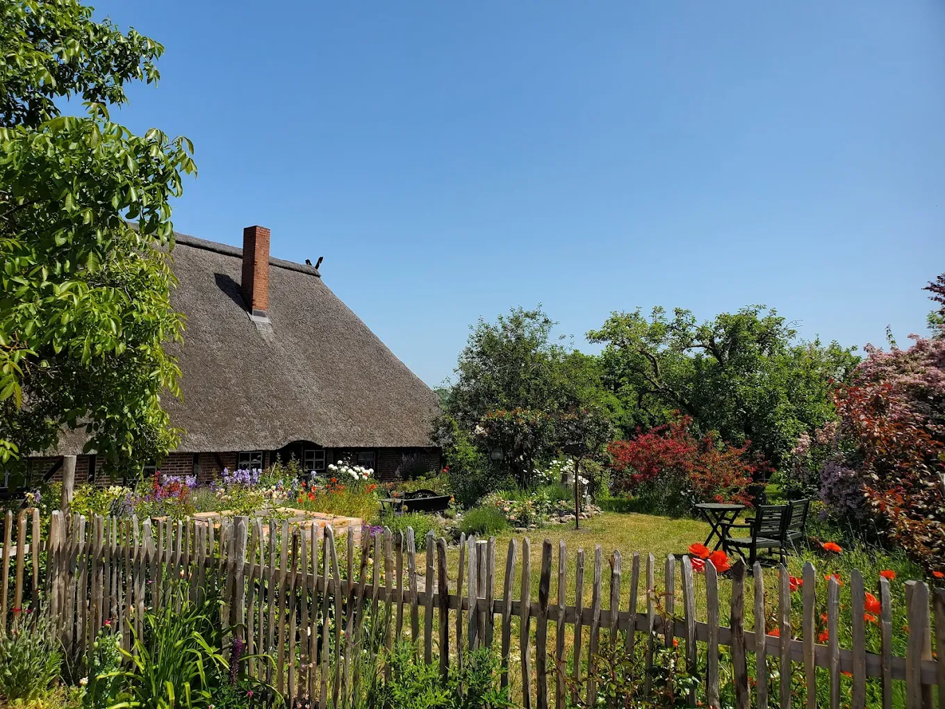 Bauerngarten mit blühenden Beeten vor dem reetgedeckten Haus