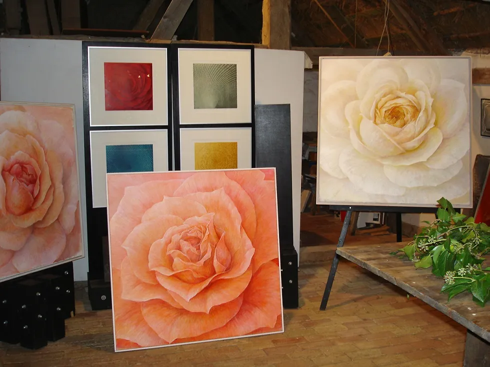 Großformatige Rosen-Bilder von Olaf Hoppe im Atelier