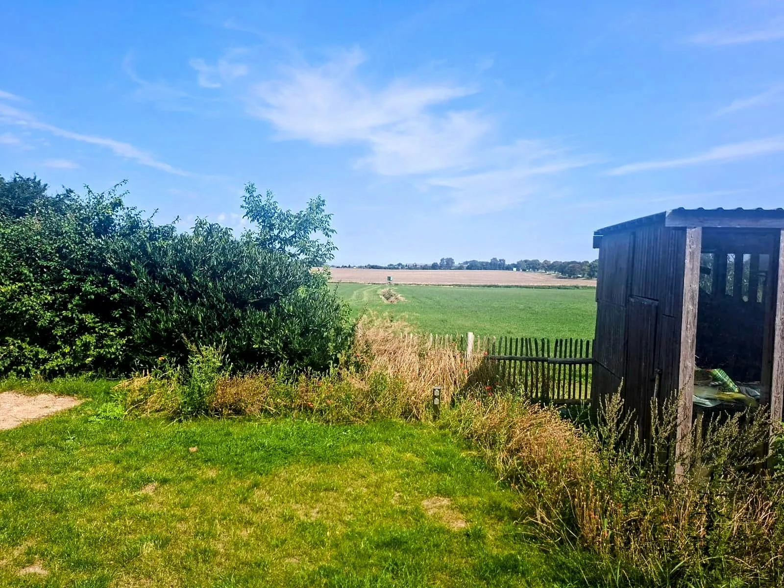 Kleine Wiese am Stellplatz mit Blick über offene Felder, rechts ein Holzunterstand und im Gras ein kleiner Stromverteiler